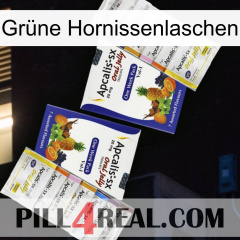 Grüne Hornissenlaschen 12